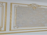 MẪU DỰ ÁN PHÀO CHỈ